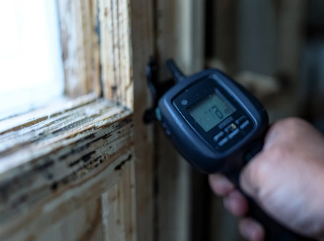 Moisture Inspection And Documentation in Bernalillo, NM